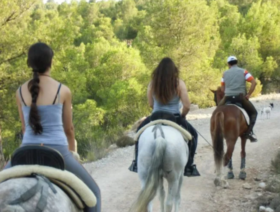 Ruta a caballo Valencia