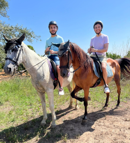Actividad caballo Valencia