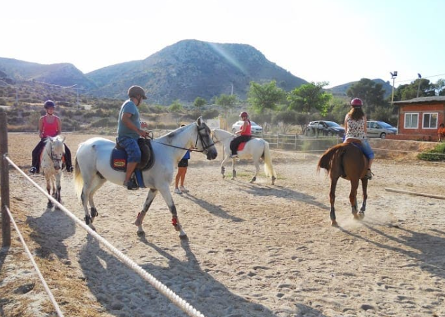 Experiencia ecuestre Valencia