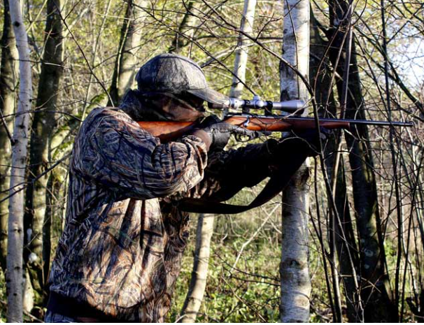 Caza organizada Valencia